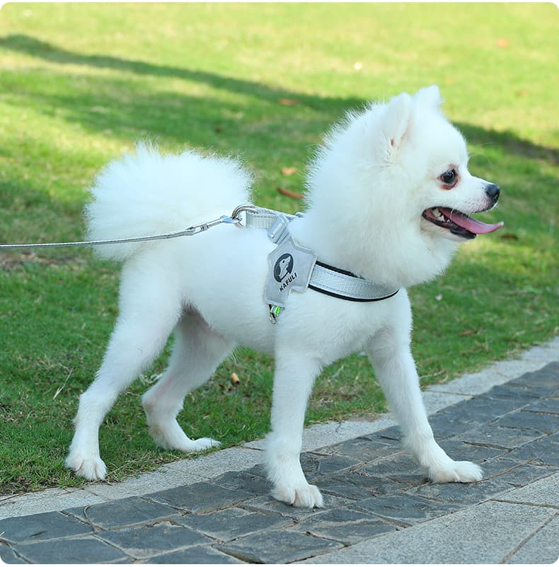 犬 ハーネス やさしさ包む 軽やか胴輪