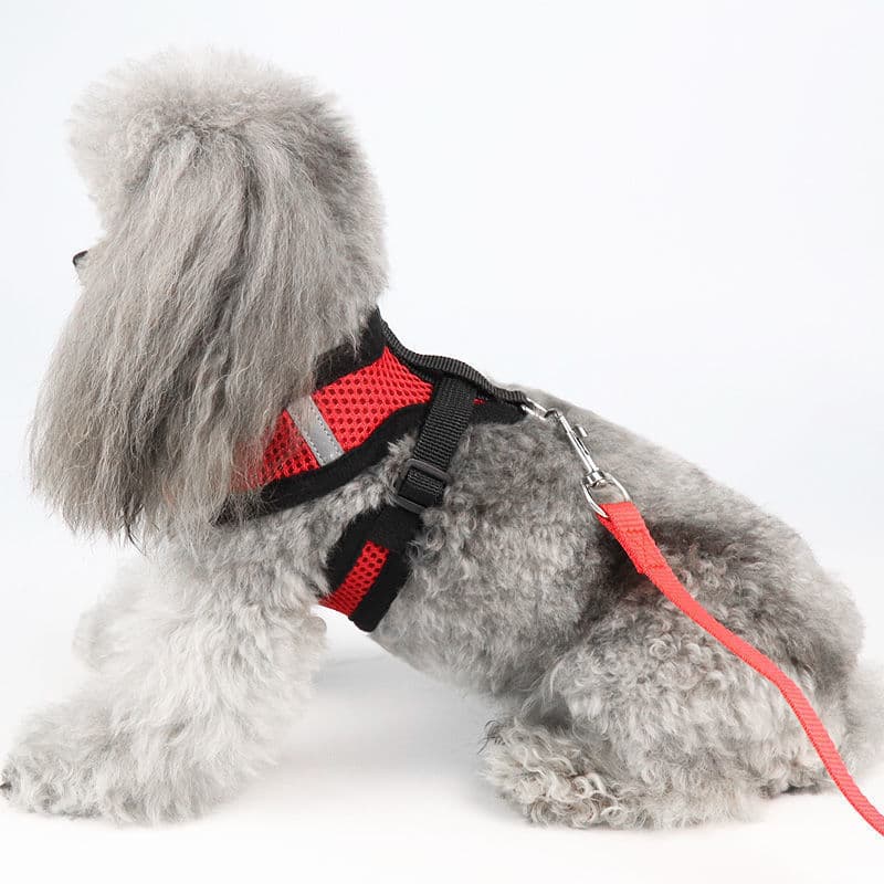 犬 ハーネス やさしい呼吸メッシュハーネス