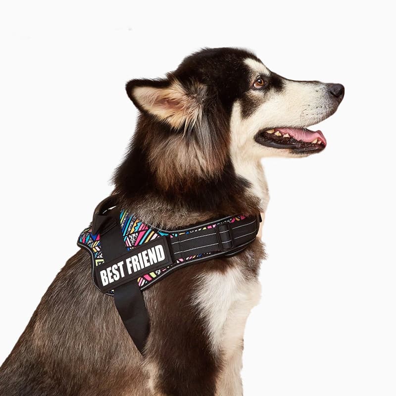犬 ハーネス 親友ずっと一緒ハーネス