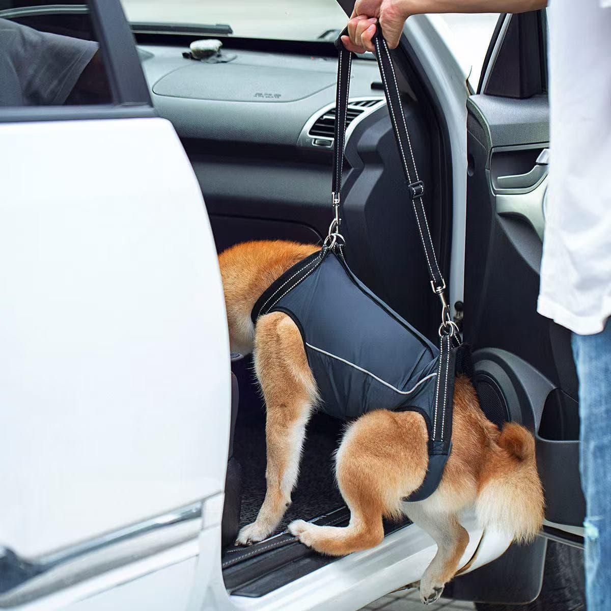 犬 ハーネス 老犬・介護用 らくらくサポートハーネス