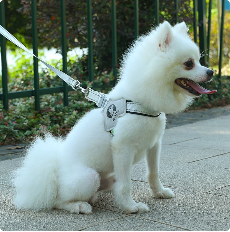 犬 ハーネス やさしさ包む 軽やか胴輪