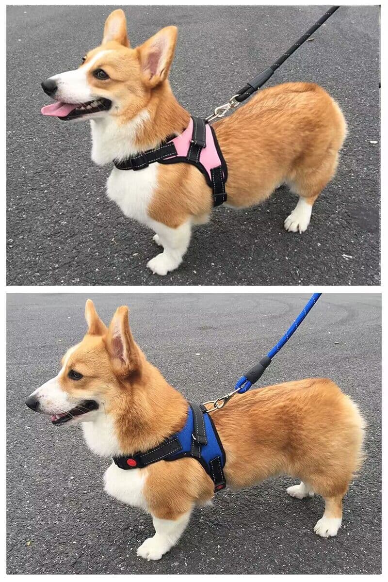 犬 ハーネス 楽らくフィット ハーネス革命