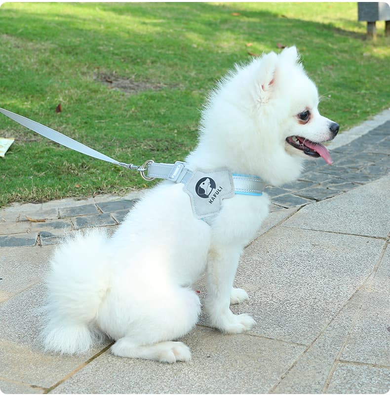 犬 ハーネス やさしさ包む 軽やか胴輪
