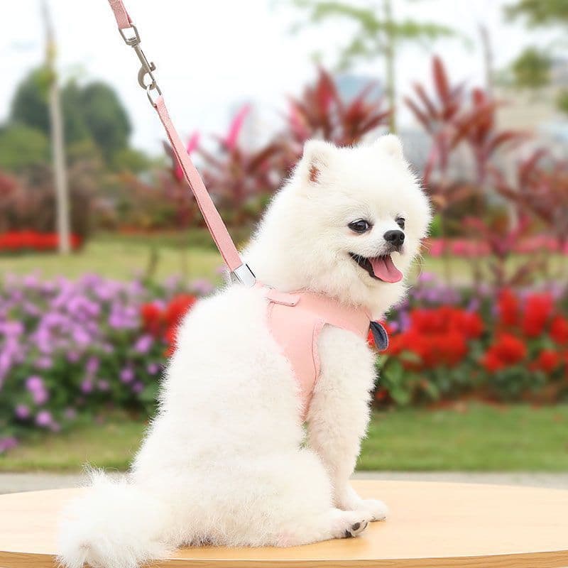 犬 ハーネス 愛らしい子犬用パピーハーネス