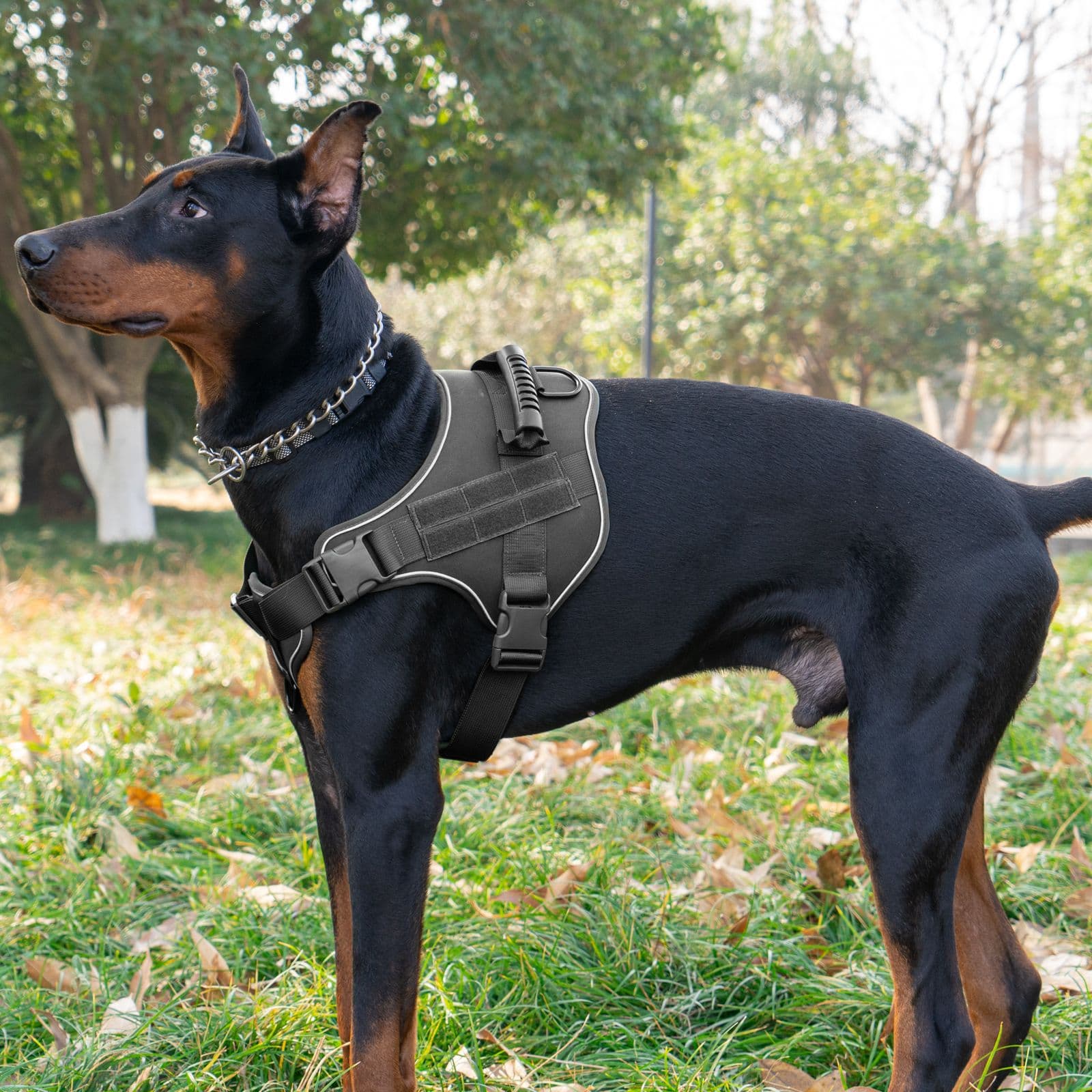 犬 ハーネス 大型犬用 フィット感抜群 サポートハーネス