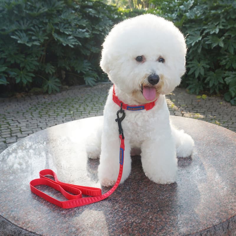 犬 ハーネス シンプル ウェーブフィット ハーネス