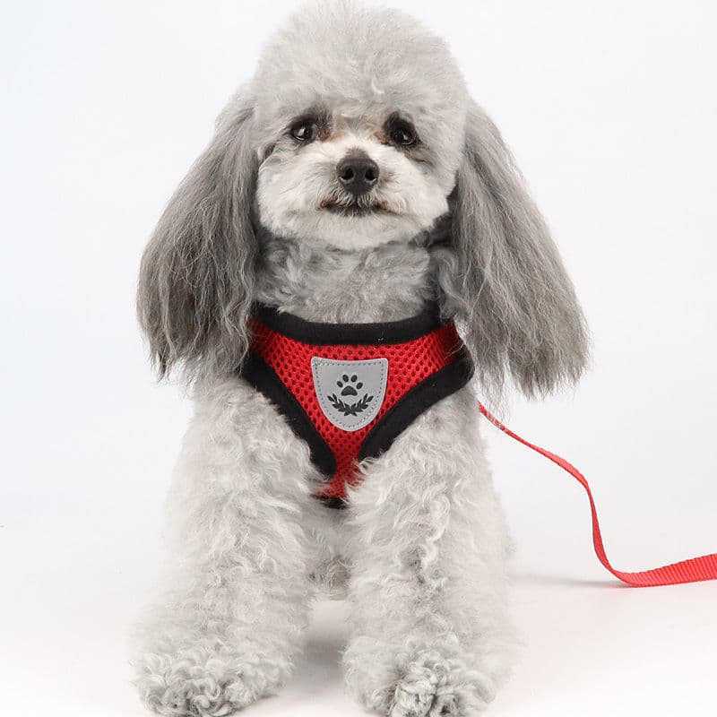 犬 ハーネス やさしい呼吸メッシュハーネス