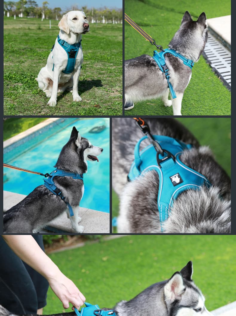 犬 ハーネス フィットスマートハーネス