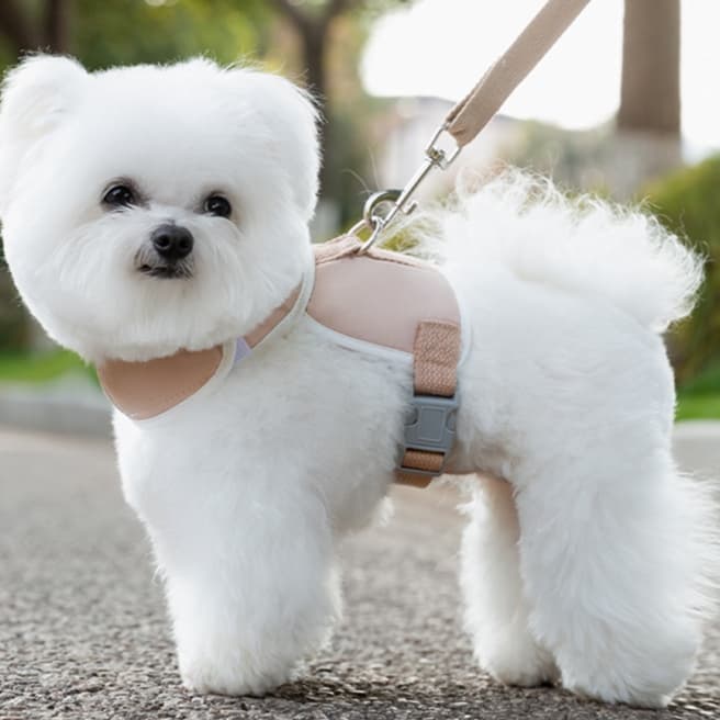 犬 ハーネス もふもふワンちゃんの快適ハーネス
