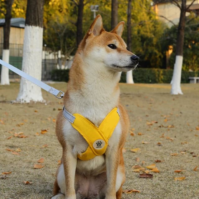 犬 ハーネス やさしい着け心地 ゆったりハーネス