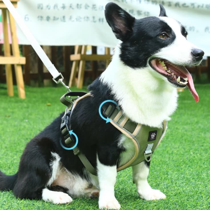 犬 ハーネス ふんわり柔らか調節ハーネス