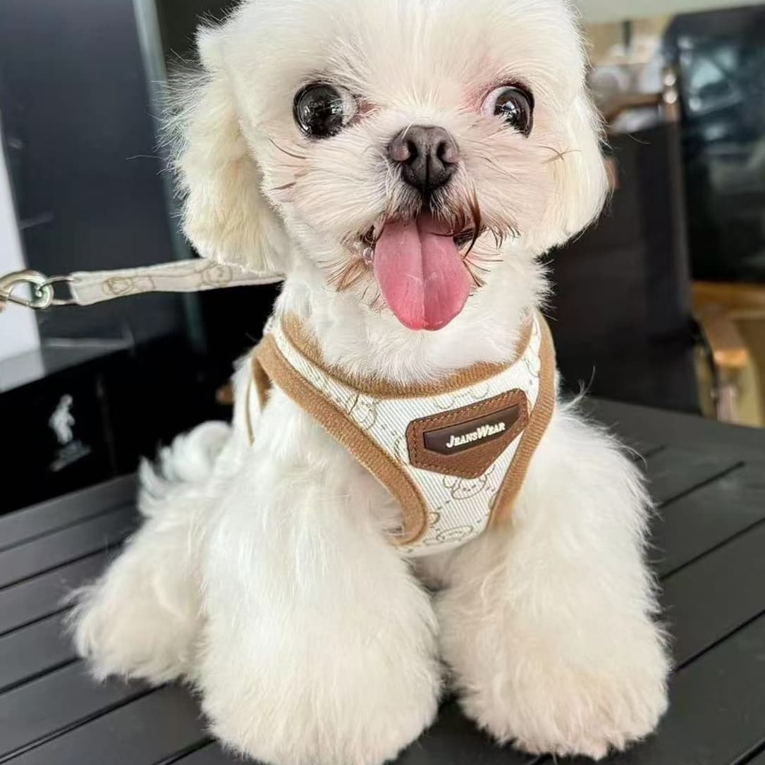犬 ハーネス モノグラム柄 ウェア安心ハーネス