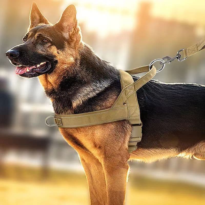 犬 ハーネス やさしさ包む 幅広胴輪