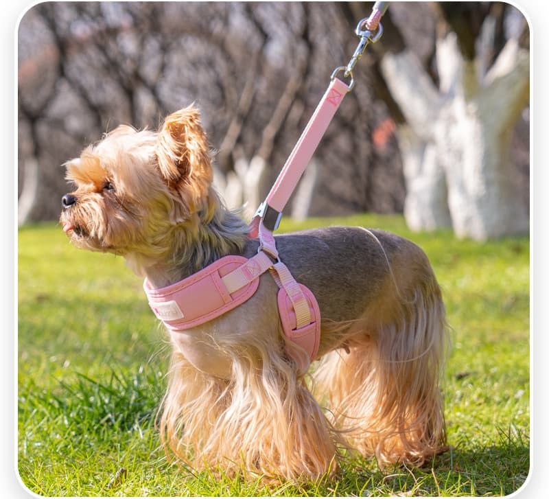 犬 ハーネス 愛犬とお散歩ふわっとハーネス