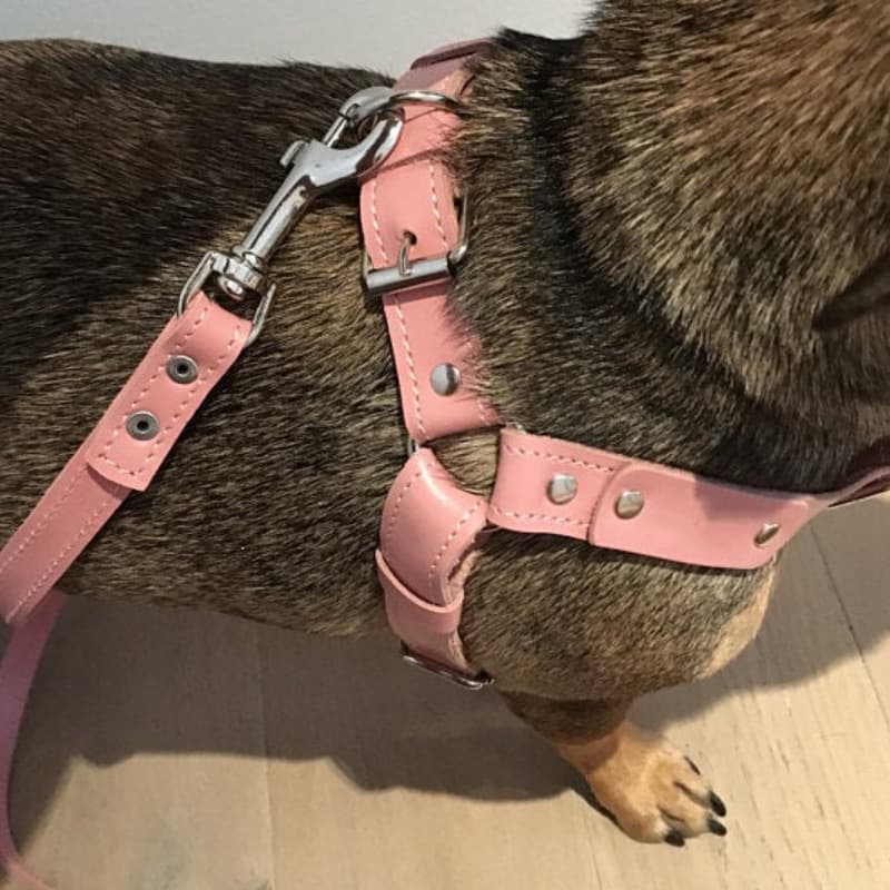犬 ハーネス なめらか本革職人ハーネス