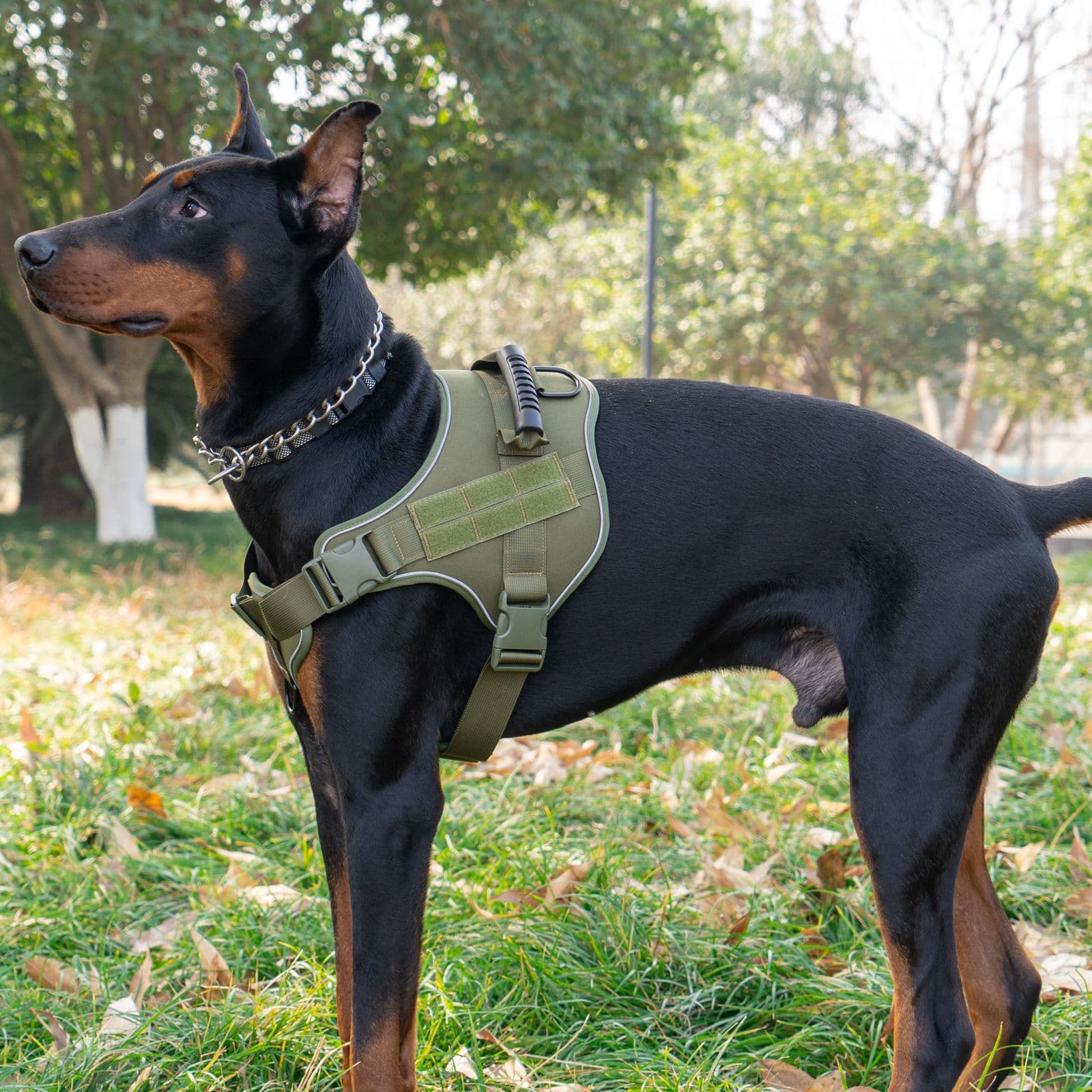 犬 ハーネス 大型犬用 フィット感抜群 サポートハーネス