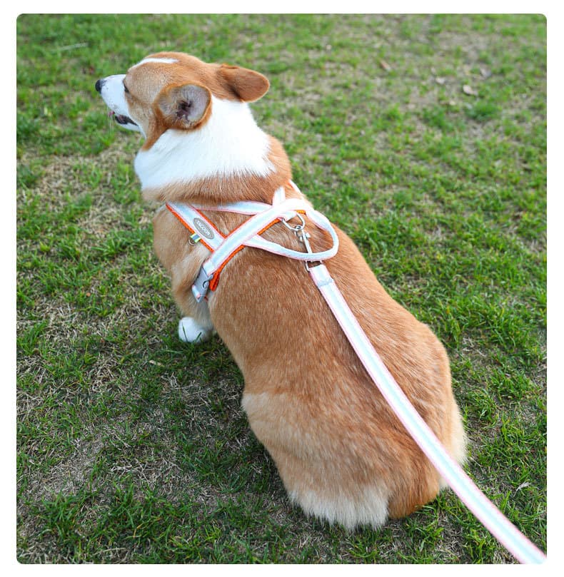 犬 ハーネス ふわもこメッシュ パステルハーネスセット