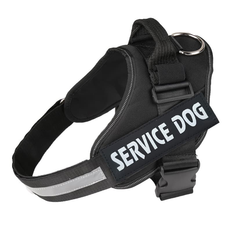 犬 ハーネス やさしい歩行補助ハーネス