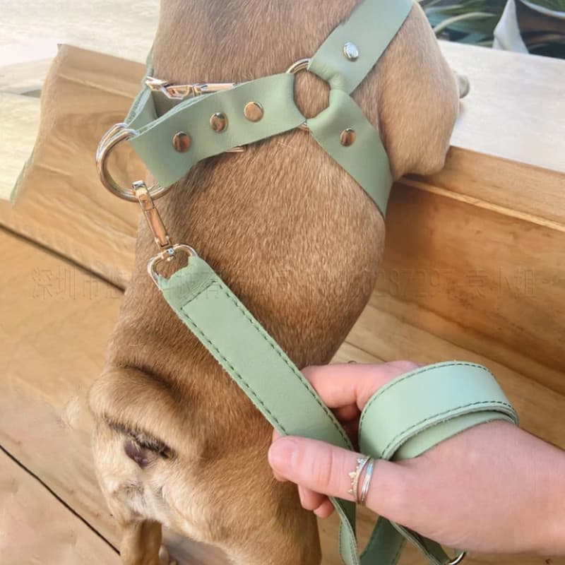 犬 ハーネス なめらか上質革ハーネス