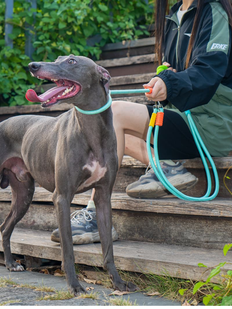 犬 ハーネス もこもこグリップ付き ながーい散歩リード
