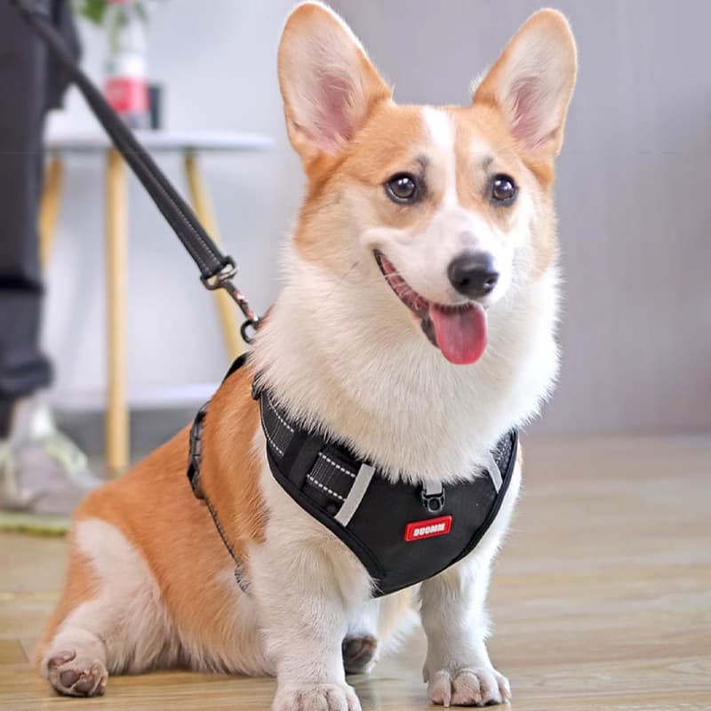 犬 ハーネス シンプル快適ペットハーネス