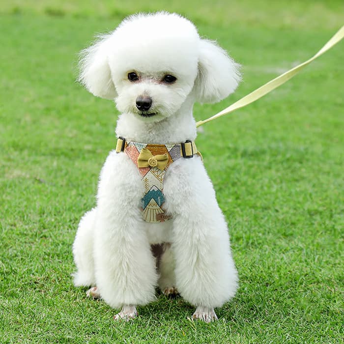 犬 ハーネス リボン付き フラワーモチーフ ハーネス