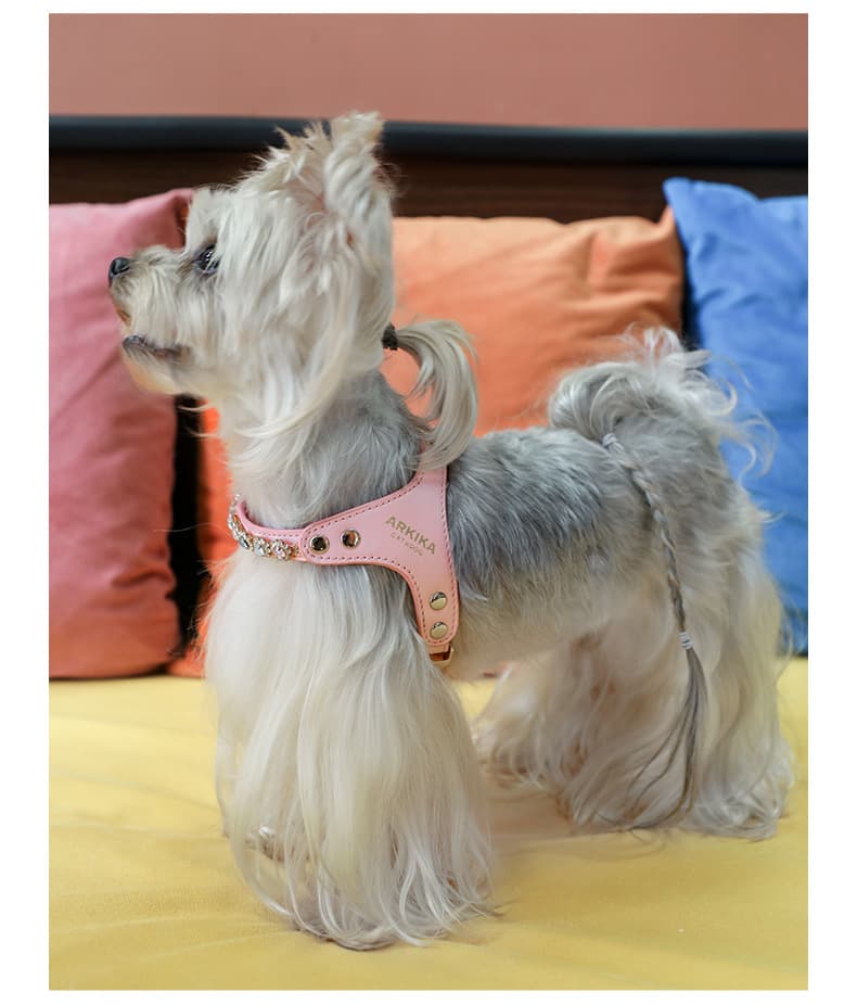 犬 ハーネス プレミアム革製輝石ハーネス