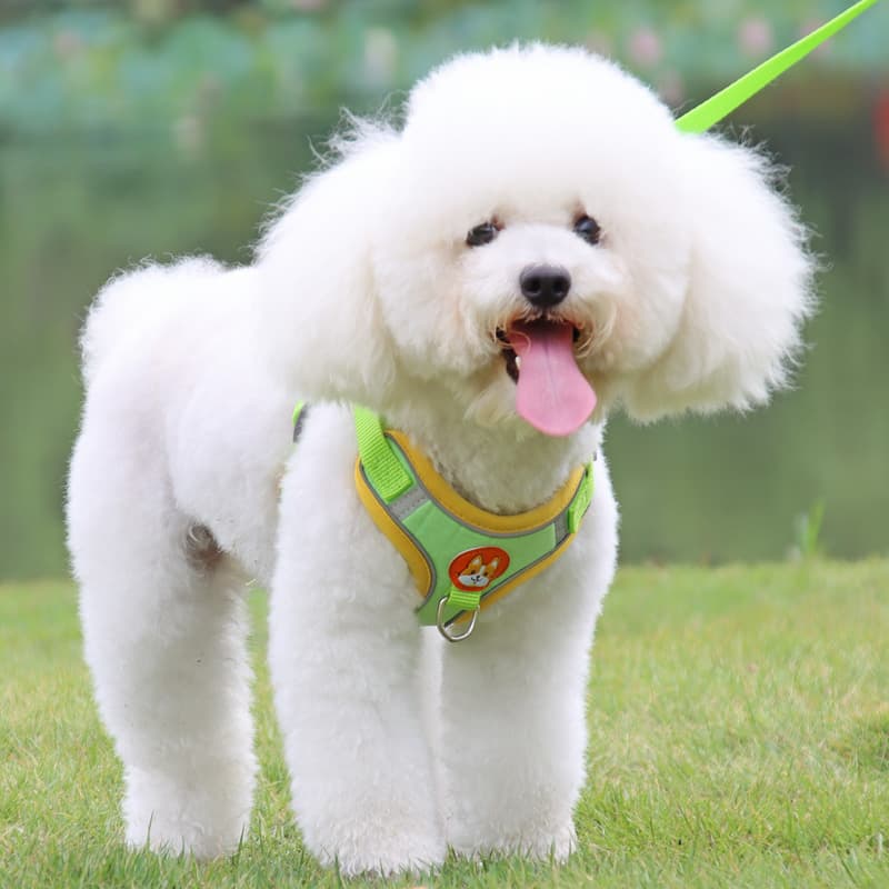 犬 ハーネス 小型犬用 やさしい肌触りメッシュハーネス
