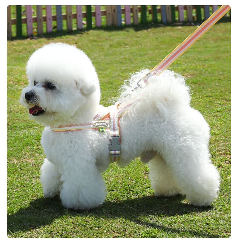 犬 ハーネス ふわもこメッシュ パステルハーネスセット