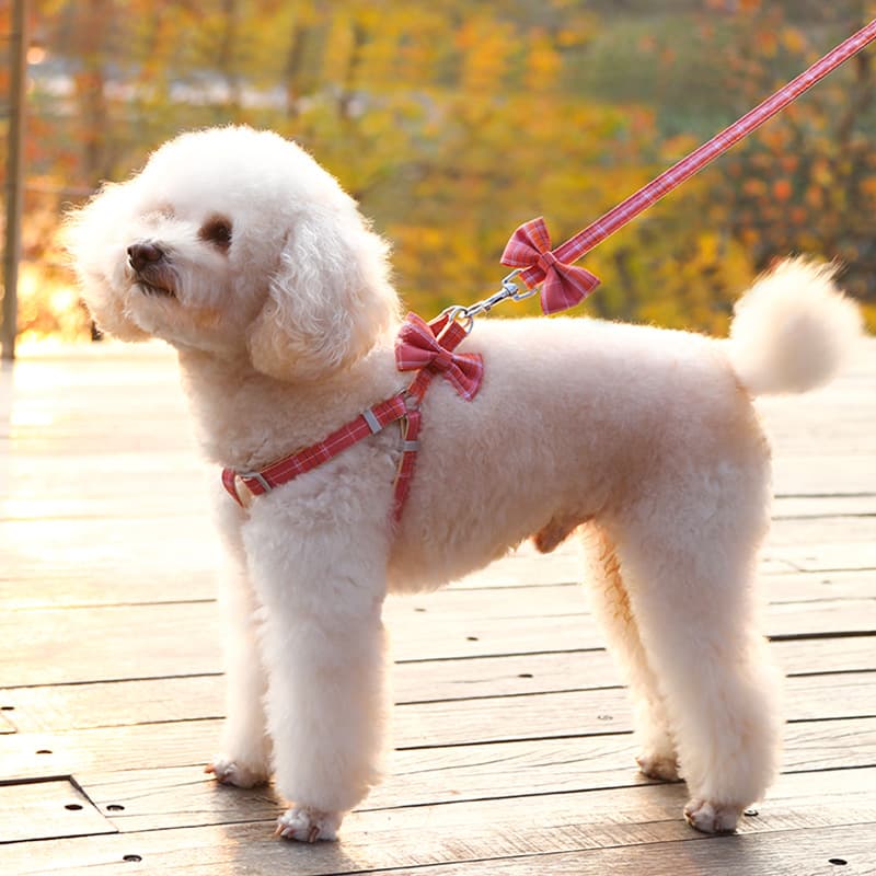 犬 ハーネス リボン付きチェック柄ハーネス