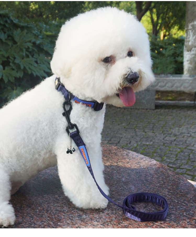 犬 ハーネス シンプル ウェーブフィット ハーネス