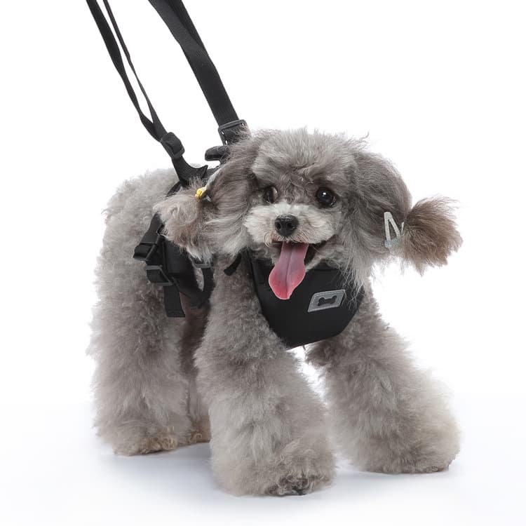 犬 ハーネス 介護用らくらく補助ハーネス