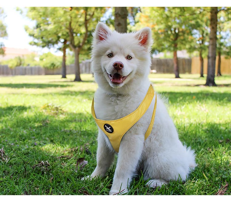 犬 ハーネス やさしさ包み込むふんわりハーネス