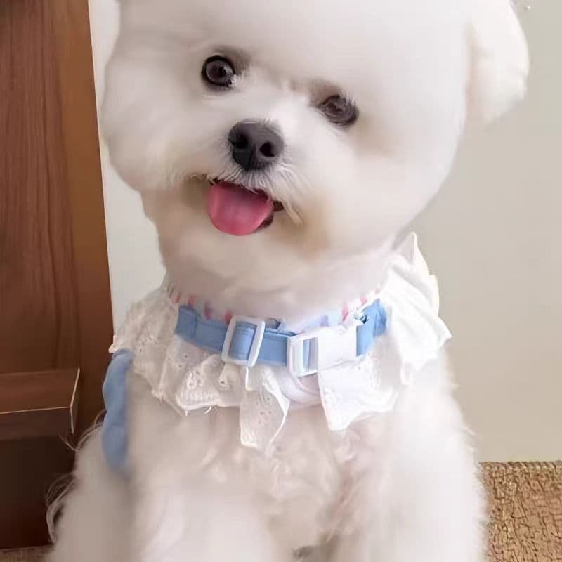 犬 ハーネス ふんわり姫フリルハーネス