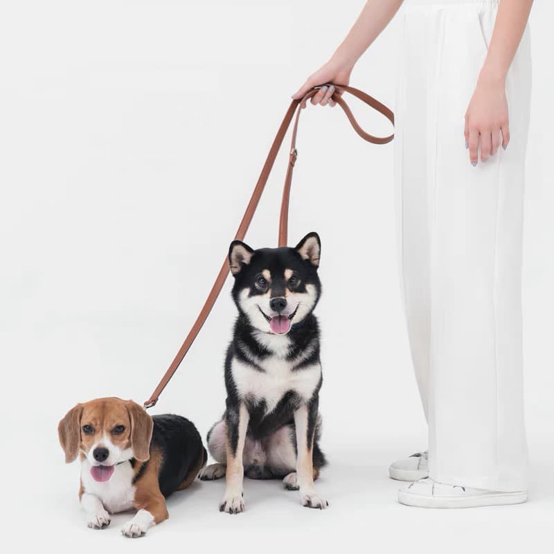 犬 ハーネス なめらか本革首輪セットリード