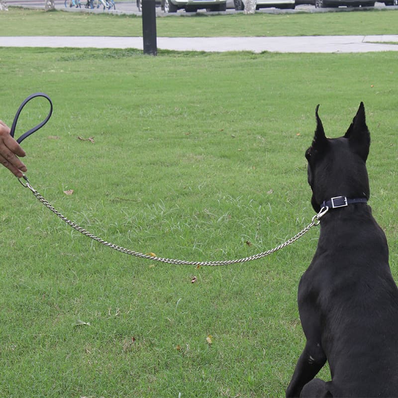 犬 ハーネス なめらか革のシンプル胴輪