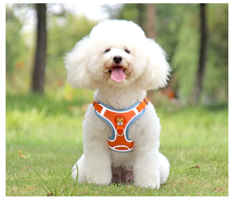 犬 ハーネス 小型犬用 やさしい肌触りメッシュハーネス