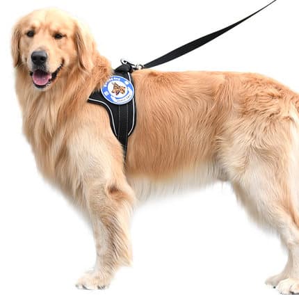 犬 ハーネス アウトドア散歩ハーネス