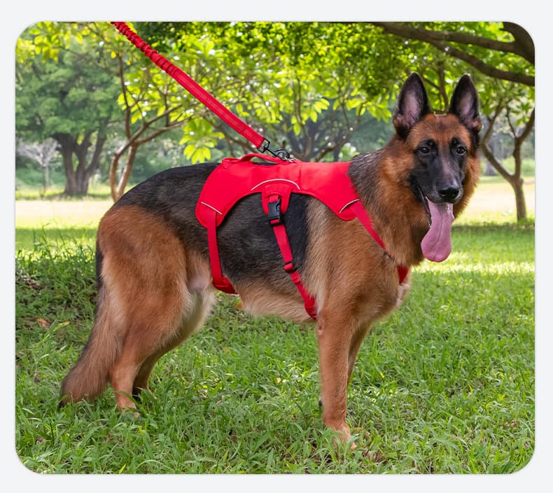 犬 ハーネス 極楽快適 やさしいフィット ペットハーネス