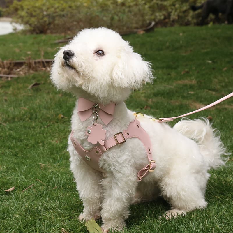 犬 ハーネス フラワージュエリー革ハーネス