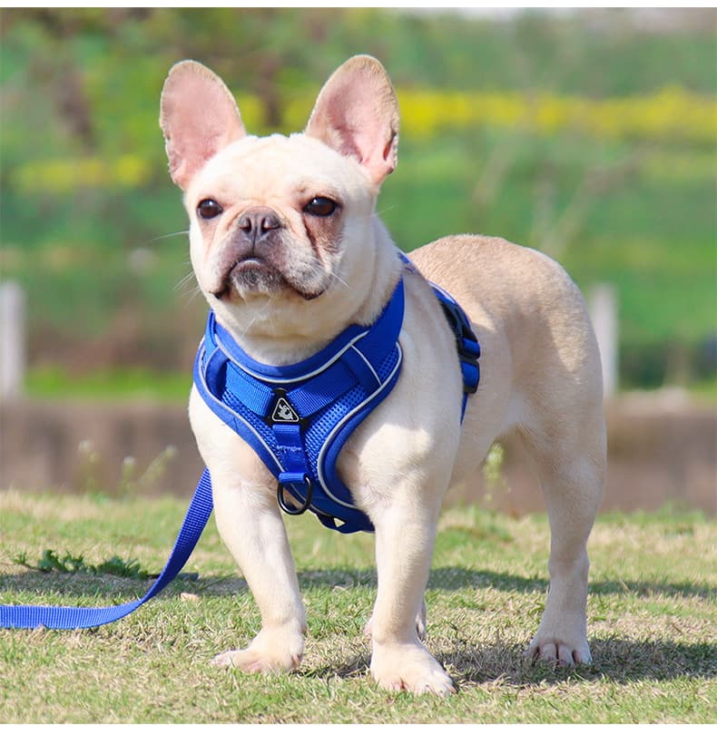 犬 ハーネス ふわもこペット用やさしいハーネス