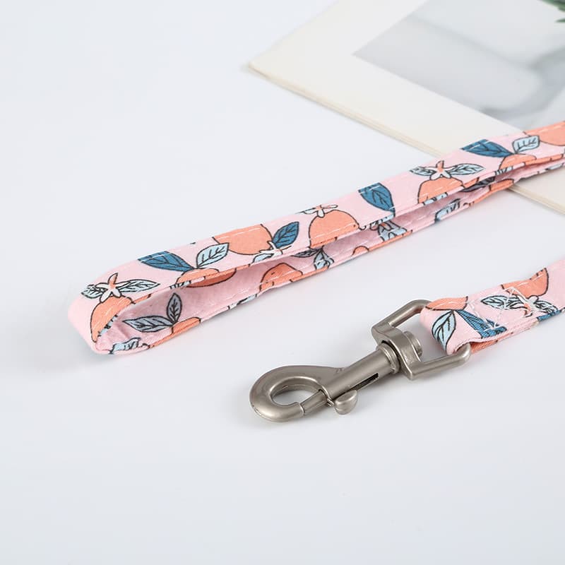 犬 ハーネス フルーツガーデン ペット用ハーネスセット