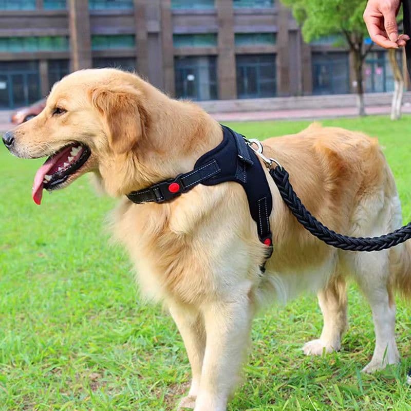 犬 ハーネス やさしくつかむ安心ハーネス