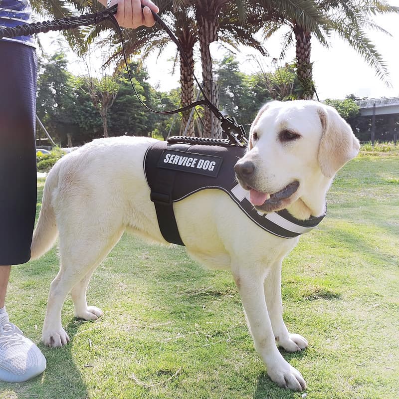 犬 ハーネス 介助犬用上質ハーネス