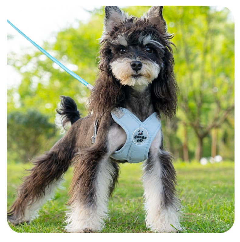 犬 ハーネス ふわもこドリーミングハーネスセット