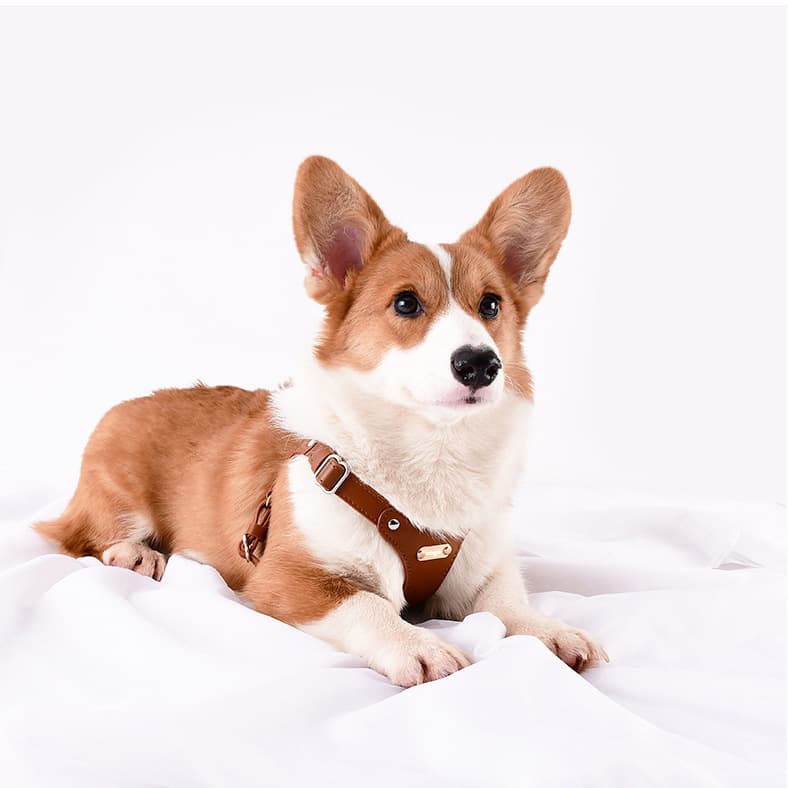 犬 ハーネス 上質な革職人の匠ハーネス