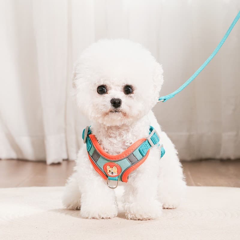 犬 ハーネス ふわもこ子犬のお散歩ハーネス＆リードセット