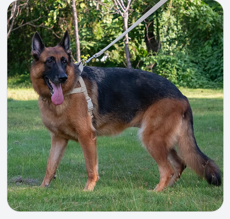 犬 ハーネス こだわり職人の軽量ハーネス