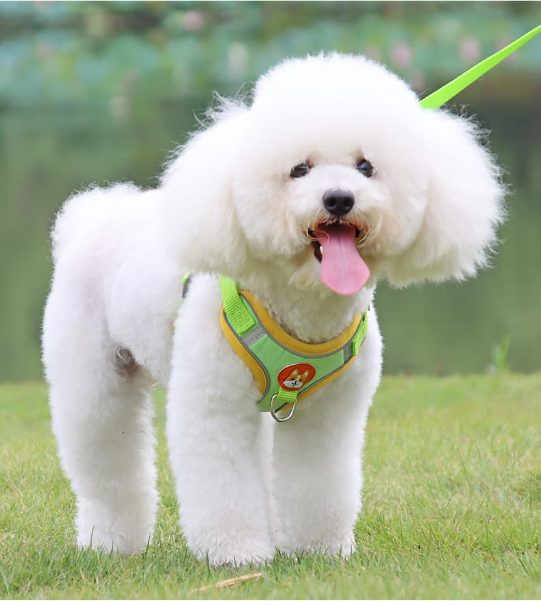 犬 ハーネス 小型犬用 やさしい肌触りメッシュハーネス