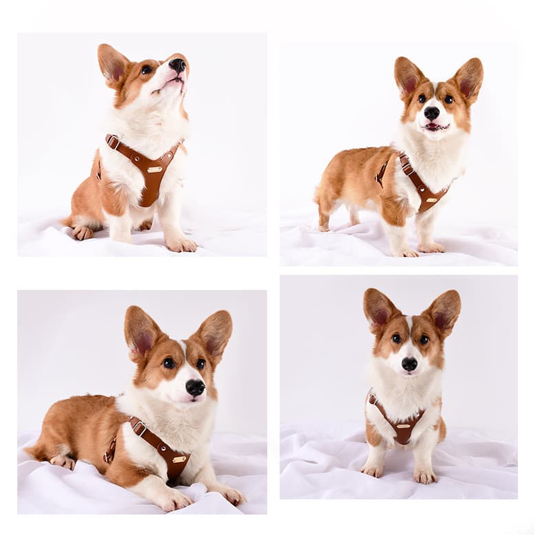 犬 ハーネス 上質な革職人の匠ハーネス
